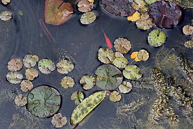 《古墓丽影1-3》重制版与原版对比视频 劳拉更性感